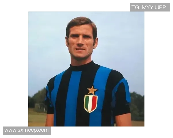 足球场上的传奇14号人物 揭开足球史上最具魅力球星的神秘面纱